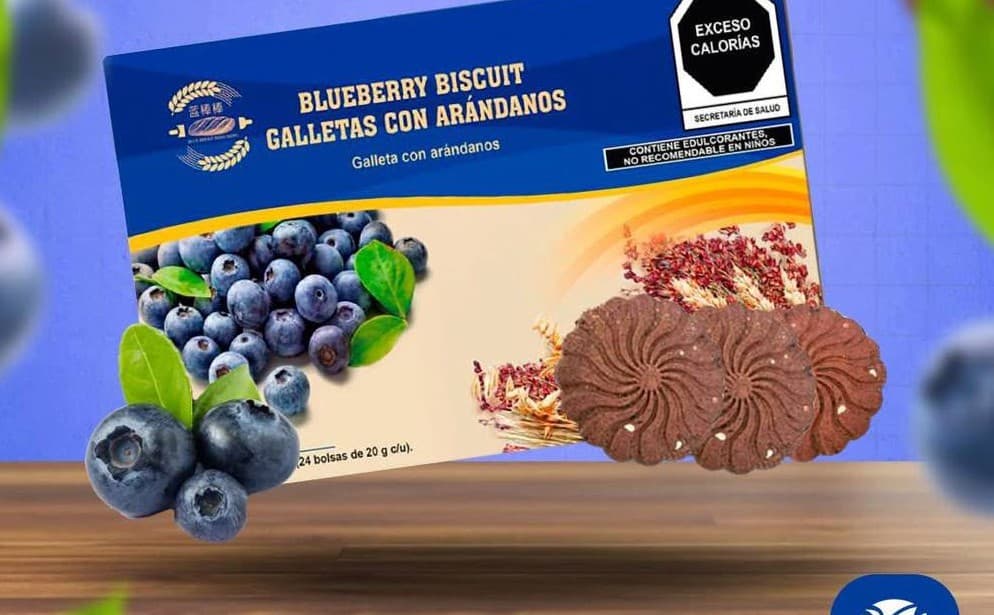 Blueberry Biscuit